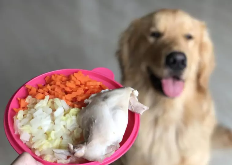 O frango é bom para os cães?