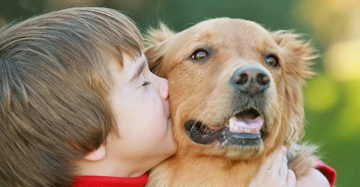 Os cães sabem como beijar? Será que os cães compreendem o significado de beijar?